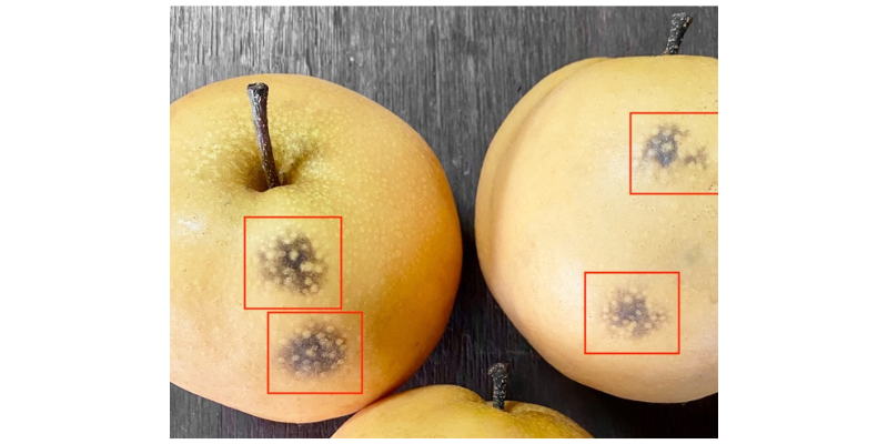 德赢·(VWIN)官方网站-AC米兰官方相助同伴